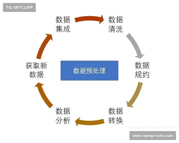 体育数据质量评估体系构建中，数据清洗与校核流程标准化